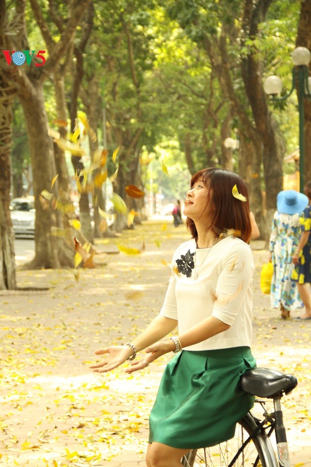 Xao xuyến thảm lá vàng trên phố Phan Đình Phùng - ảnh 17